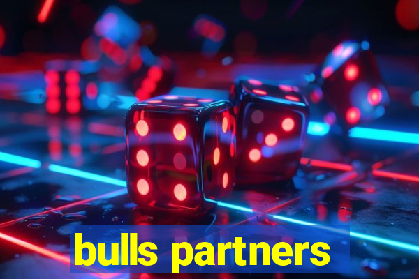 bulls partners